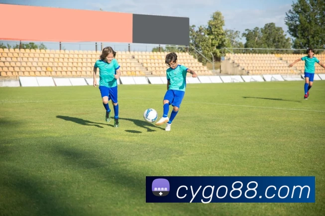 彩盈娱乐官网发展历程